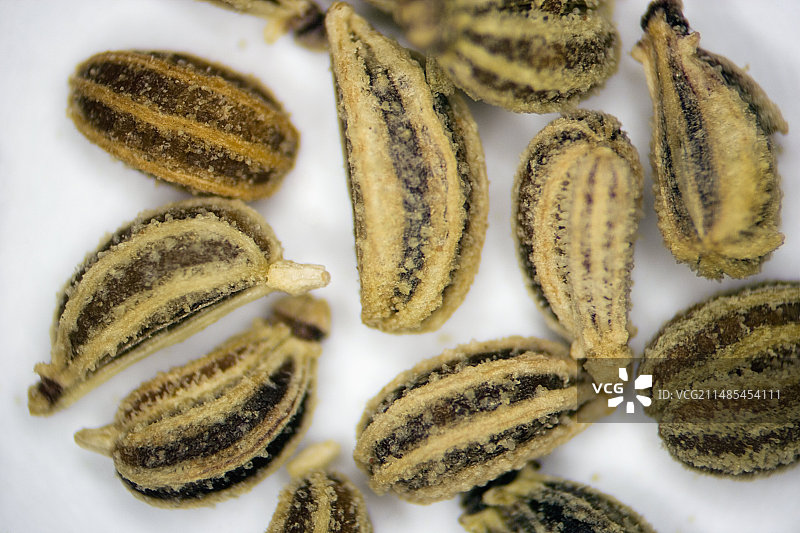 阿 জো ওয়ান 果实图片素材