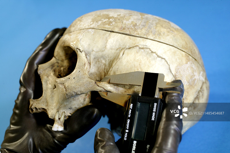 法医测量图片素材