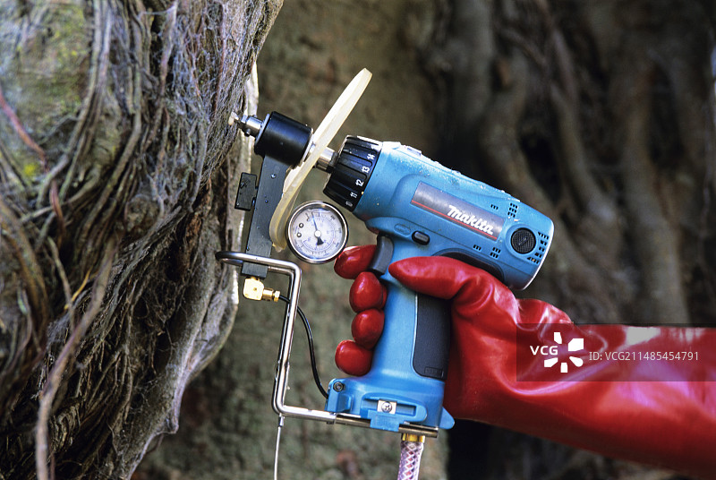 树木接种图片素材