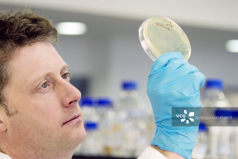 抗生素研究图片素材