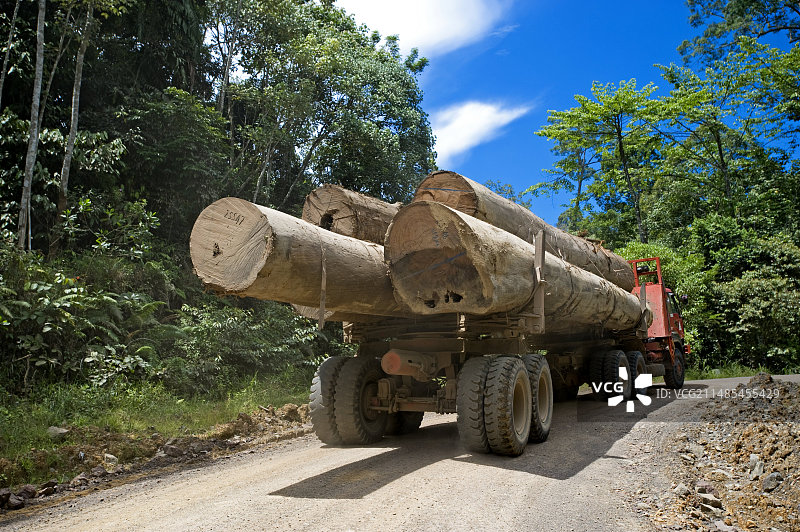 伐木卡车图片素材