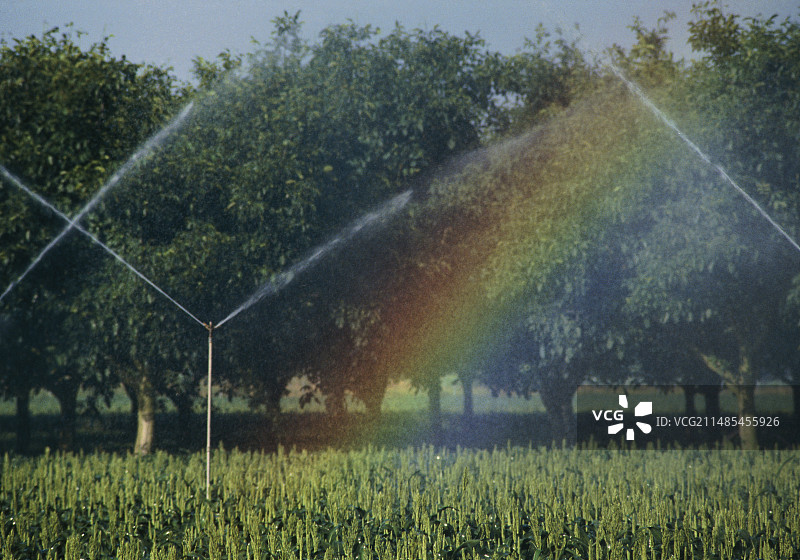 灌溉与彩虹图片素材