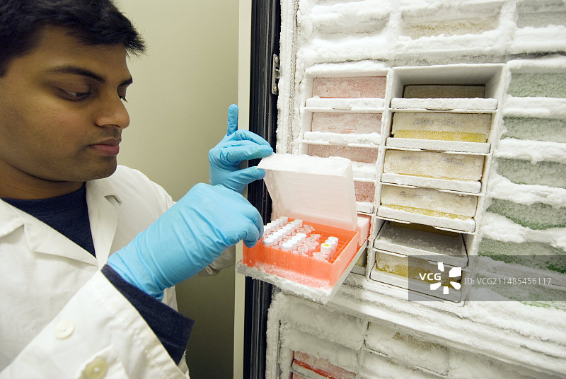 麻疯树植物研究图片素材