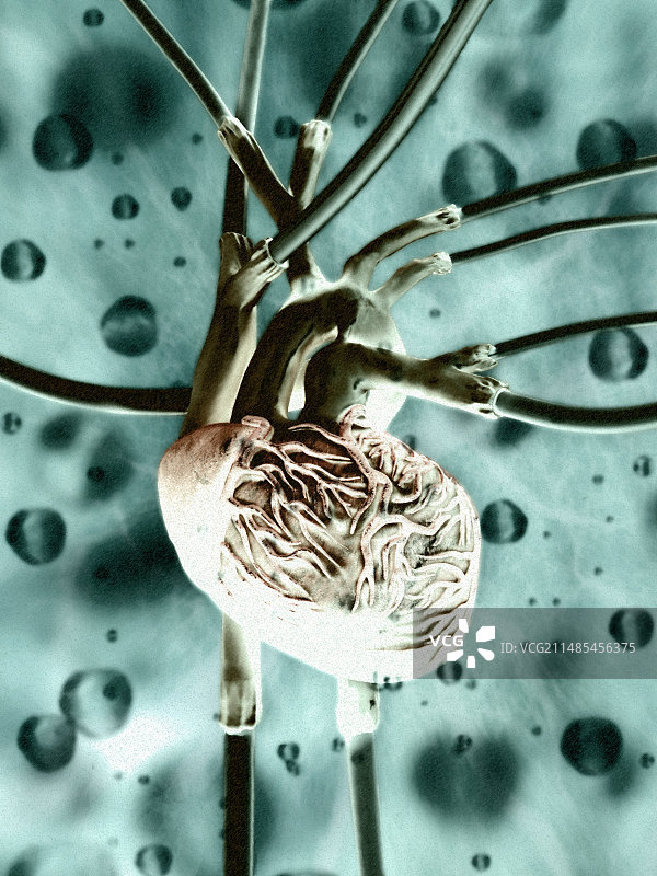 人造心脏概念艺术作品图片素材