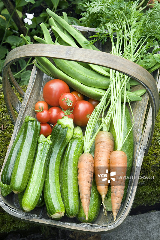 自家种植的有机蔬菜图片素材