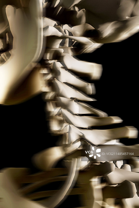 人的脖子,艺术作品图片素材