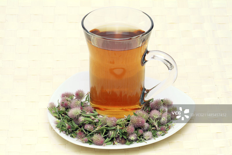 兔脚草药茶图片素材