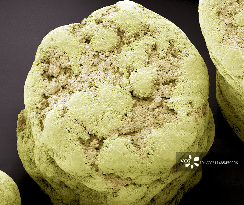 干燥商用酵母颗粒图片素材