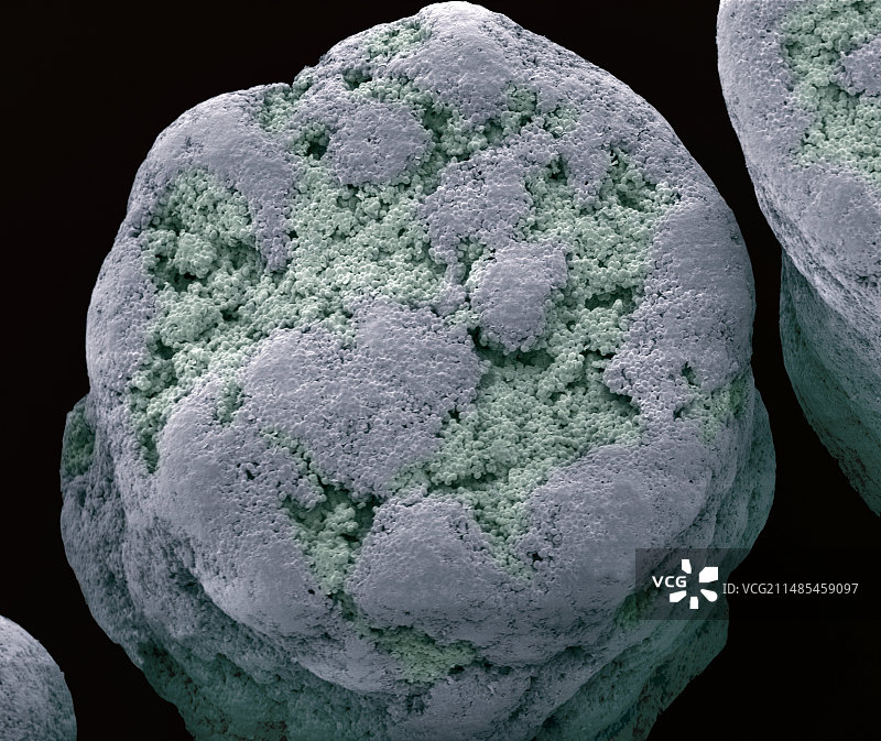 干燥商用酵母颗粒图片素材