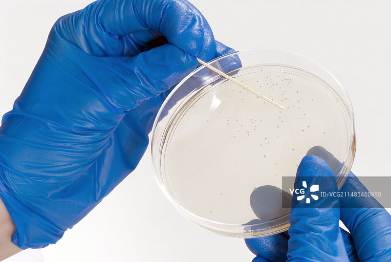 遗传研究图片素材