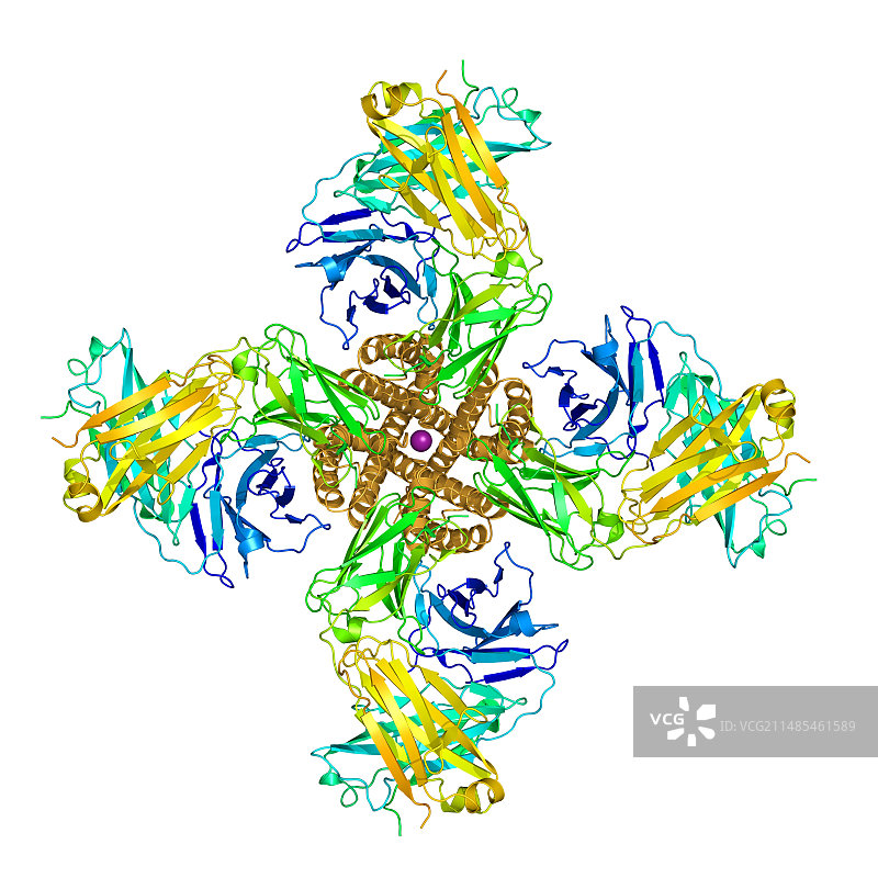 钾通道分子模型图片素材