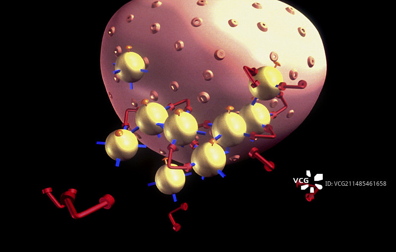 病毒和抗体艺术作品图片素材