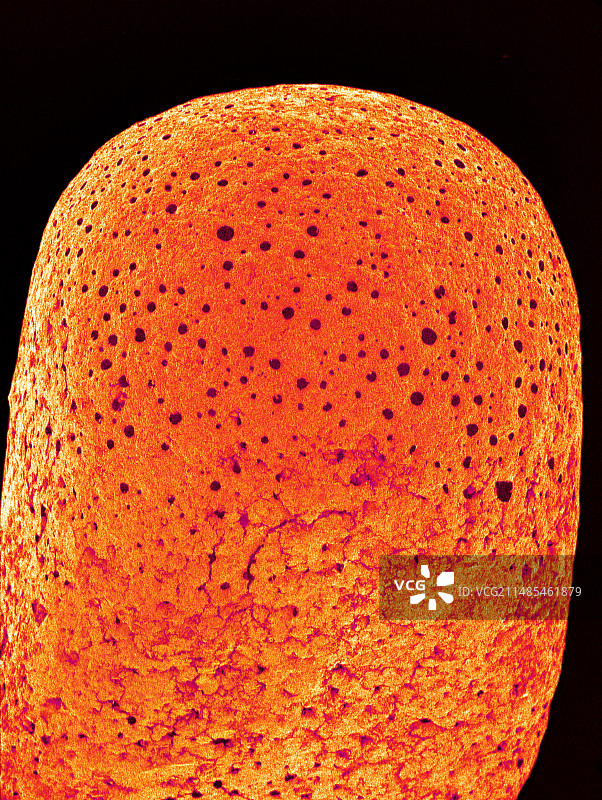 匹配技巧，搜索引擎营销图片素材