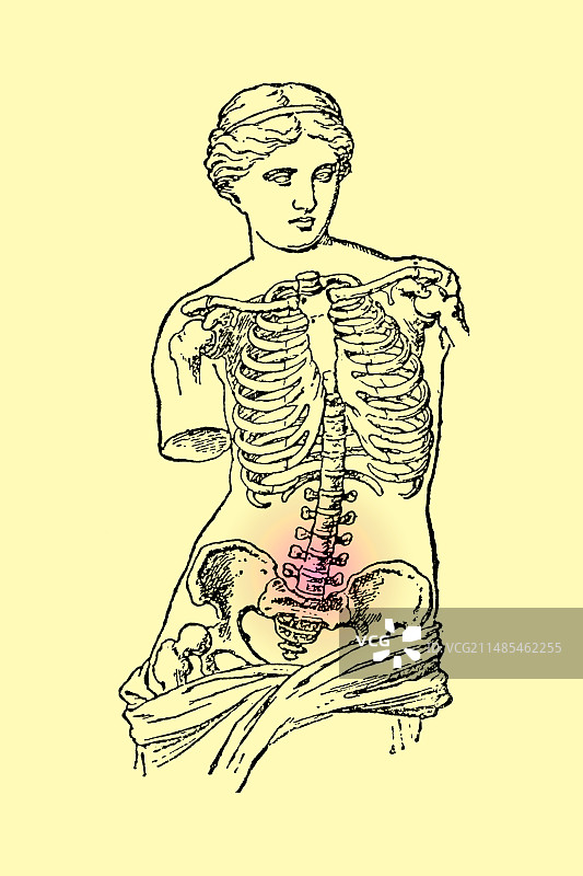 背部疼痛图片素材