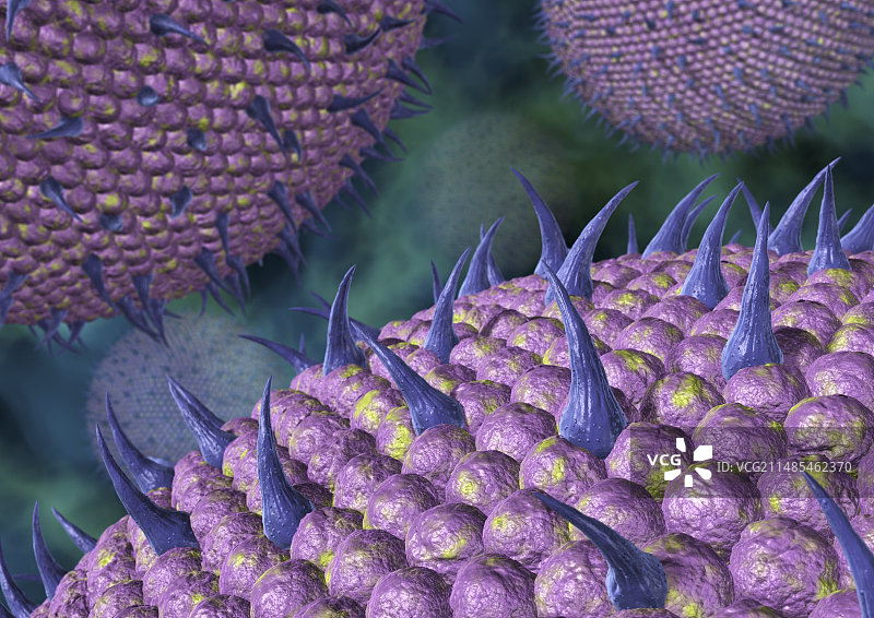 病毒颗粒图片素材