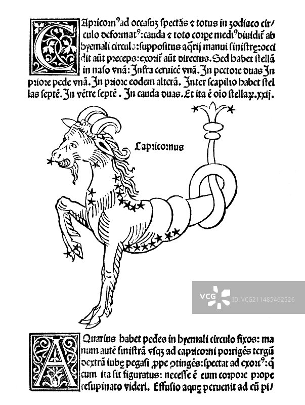 摩羯座星座，1482图片素材