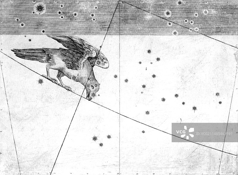 乌鸦座星群，1603年图片素材