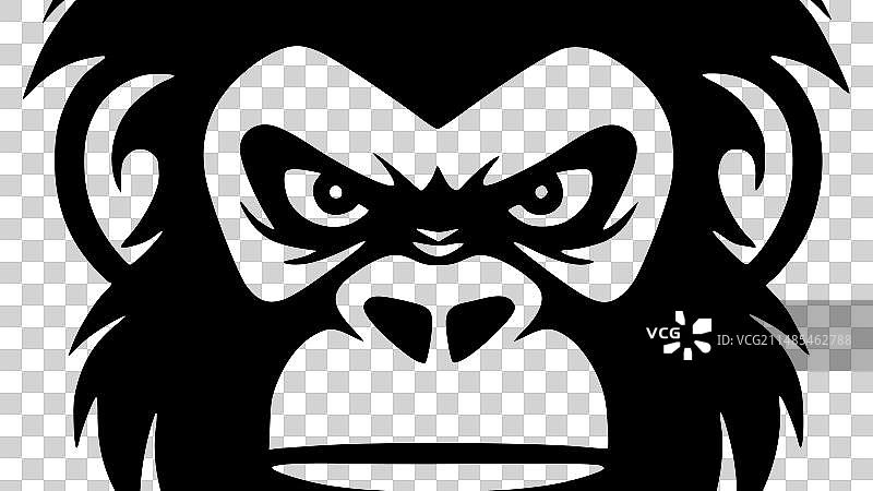 黑白猴子图片素材