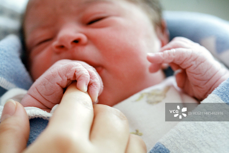 新生的婴儿图片素材
