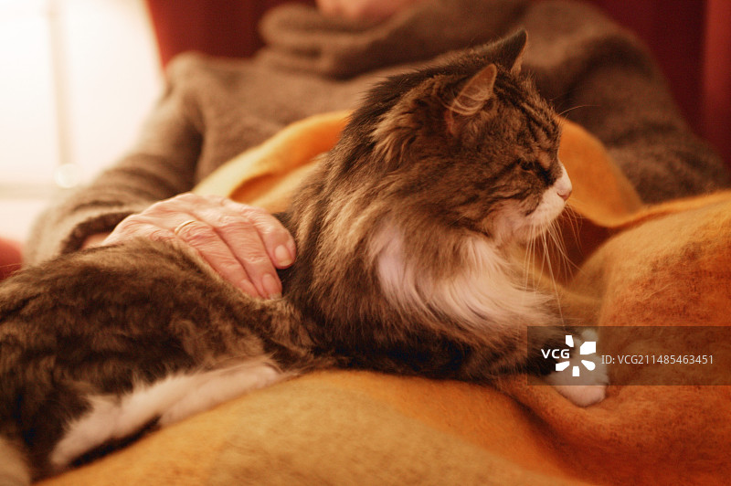 老年护理图片素材