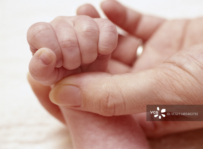 宝宝的手图片素材