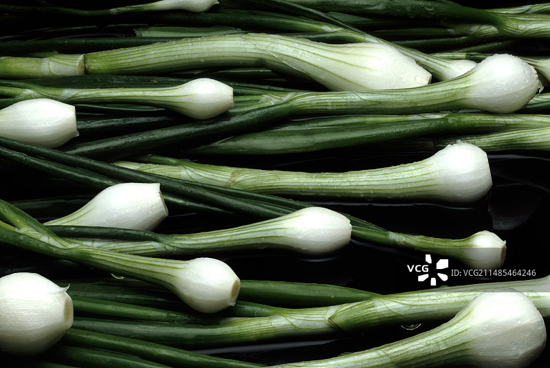 葱图片素材