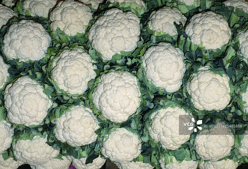 花椰菜图片素材