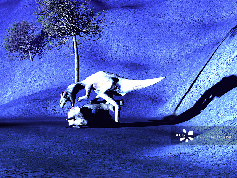 艾伯塔龙进食图片素材