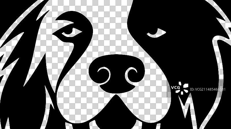 狗——黑白相间图片素材