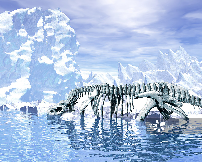 恐龙骨骼图片素材