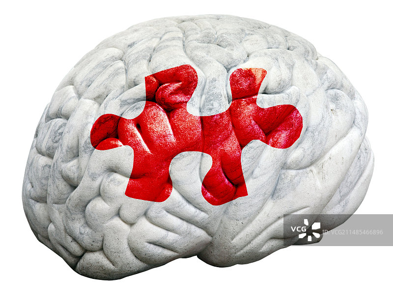 大脑功能概念图图片素材