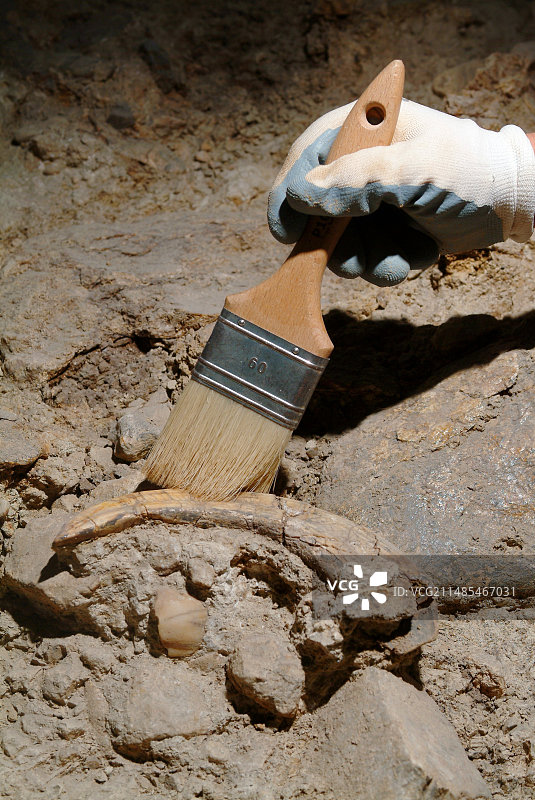 史前遗址挖掘图片素材