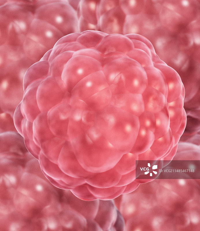 干细胞计算机艺术作品图片素材