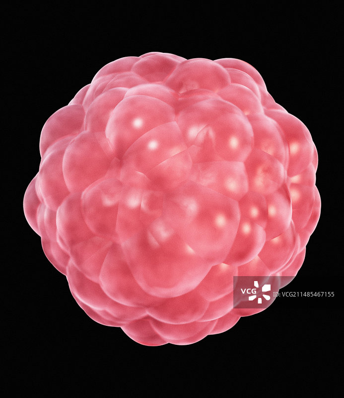 干细胞计算机艺术作品图片素材