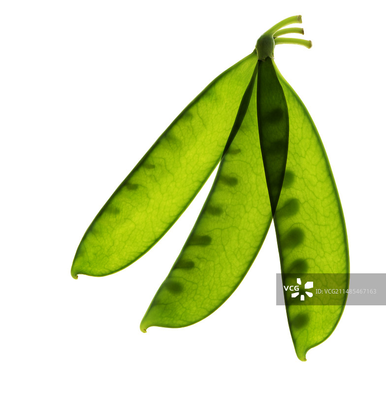 荷兰豆图片素材