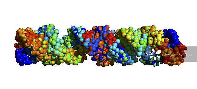 双链RNA分子图片素材