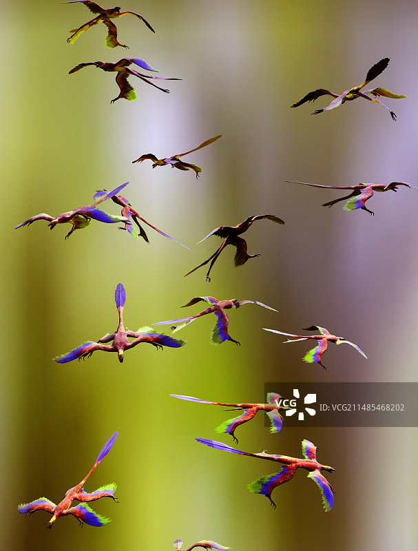 恐龙小盗龙飞行动画图片素材