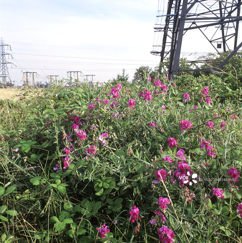 土地修复图片素材