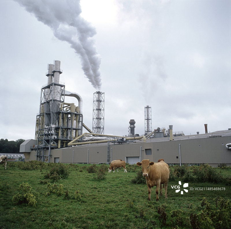 刨花板工厂图片素材