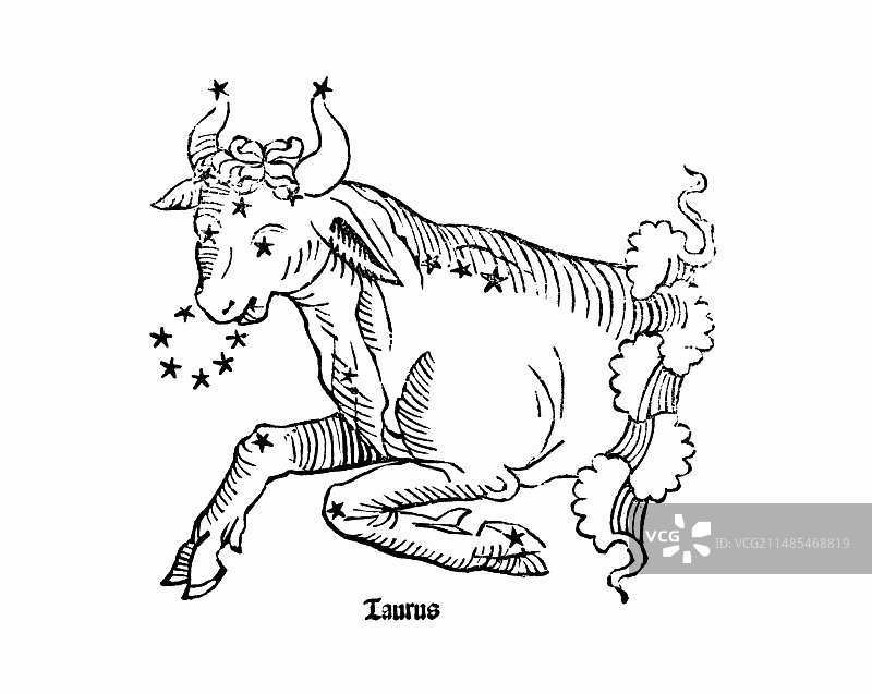 金牛座星座，1482图片素材