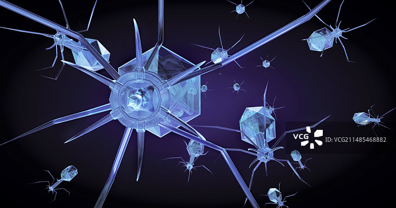 噬菌体病毒颗粒图片素材