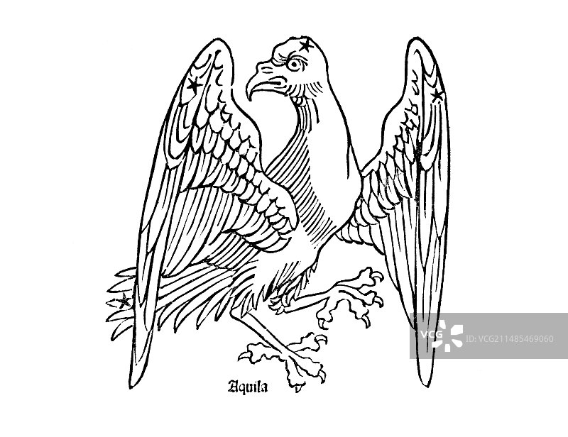 天鹰座，1482年图片素材