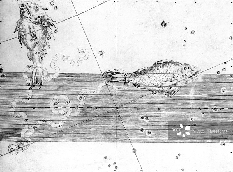 1603年的双鱼座图片素材