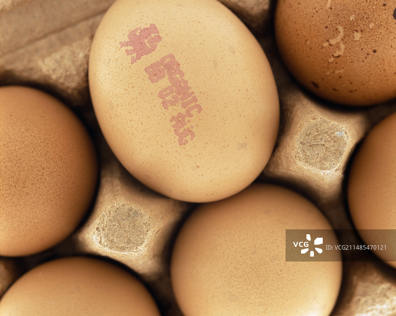 有机鸡蛋图片素材