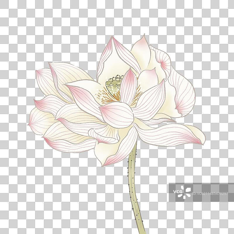 清新荷花元素图片素材