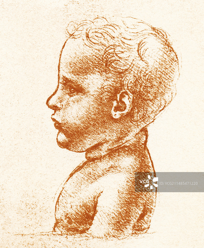 孩子的头部图片素材