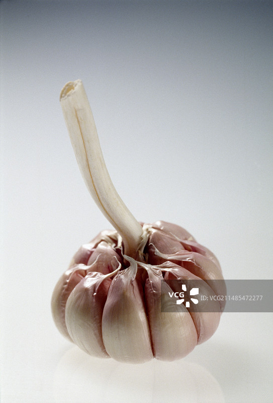 大蒜图片素材