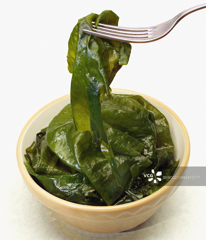 食用海藻图片素材