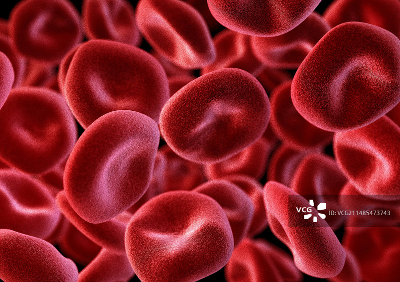 红细胞计算机艺术作品图片素材