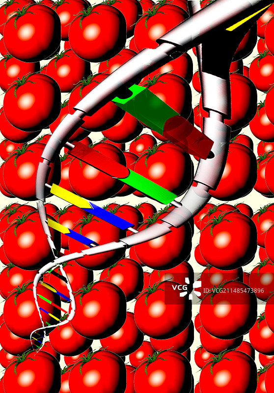 转基因食品图片素材